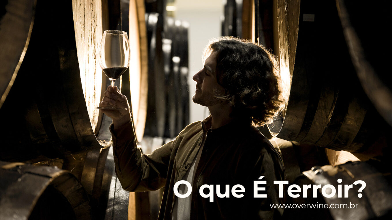 O que é Terroir e qual a sua importância?